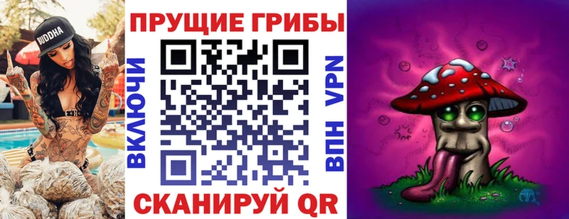 площадка формула  купить   Емва  Псилоцибиновые грибы Psilocybe 